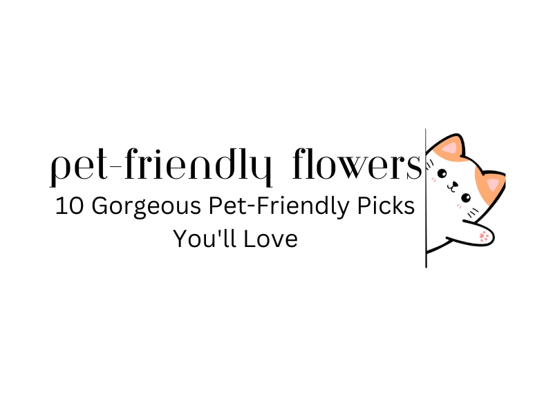 What Flowers Are Safe for Cats? 10 Gorgeous Pet-Friendly Picks Youll Love